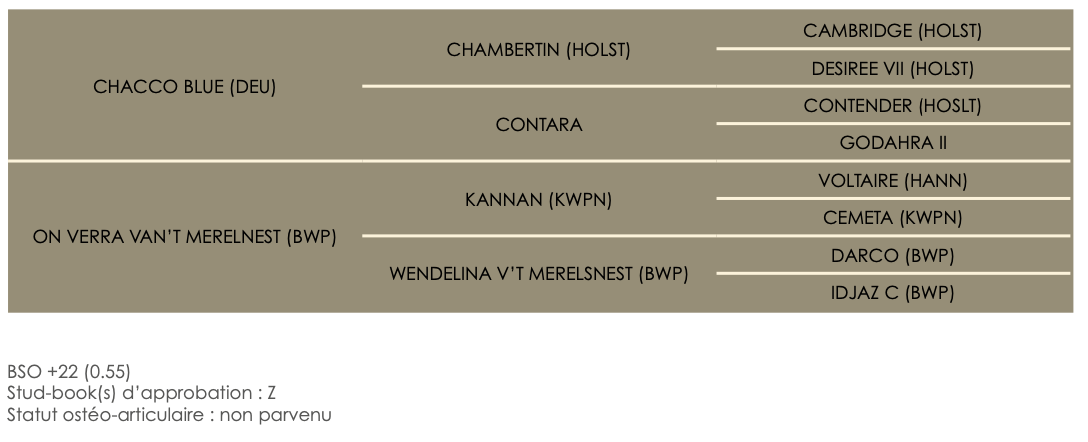 Pedigree-charliesTalentZ pedigree du cheval